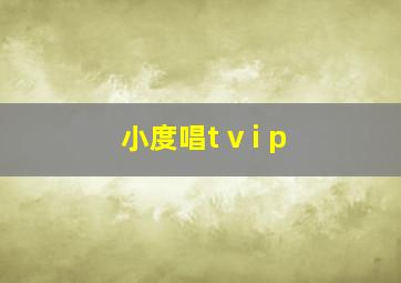 小度唱t v i p